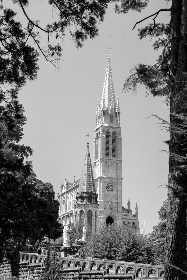 Basilique néogothique en noir et blanc, flèche encadrée de branches