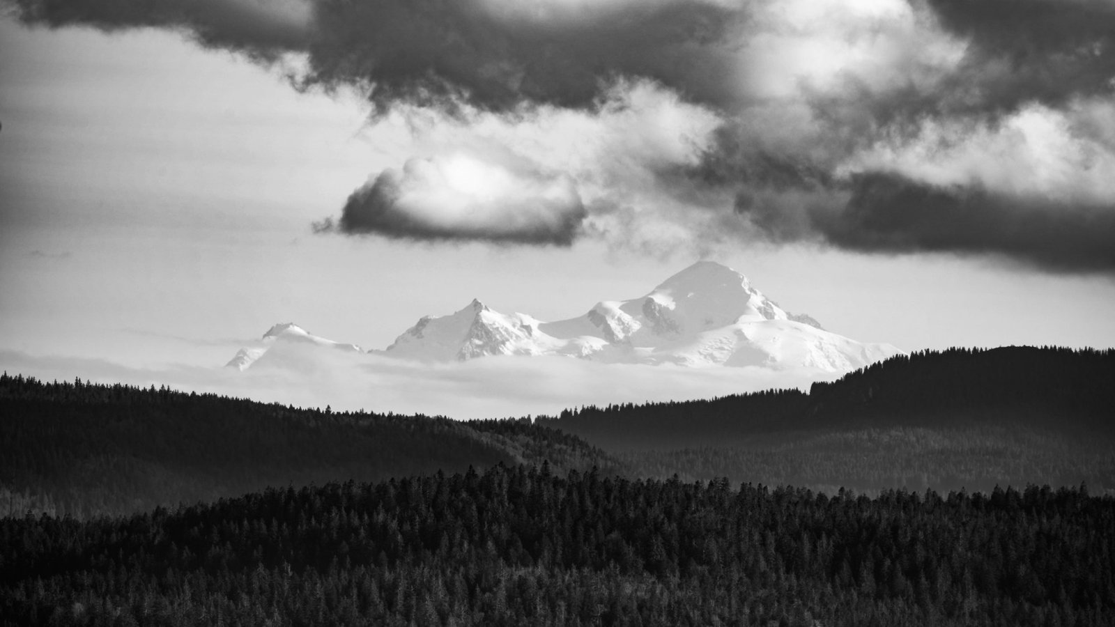 Chaîne de montagnes enneigée en noir et blanc, forêt sombre au premier plan